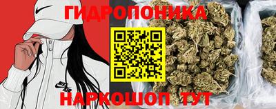 крисы Туймазы