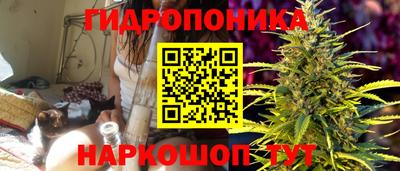 крисы Туймазы