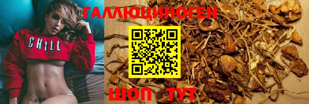 Псилоцибиновые грибы Magic Shrooms Орехово-Зуево
